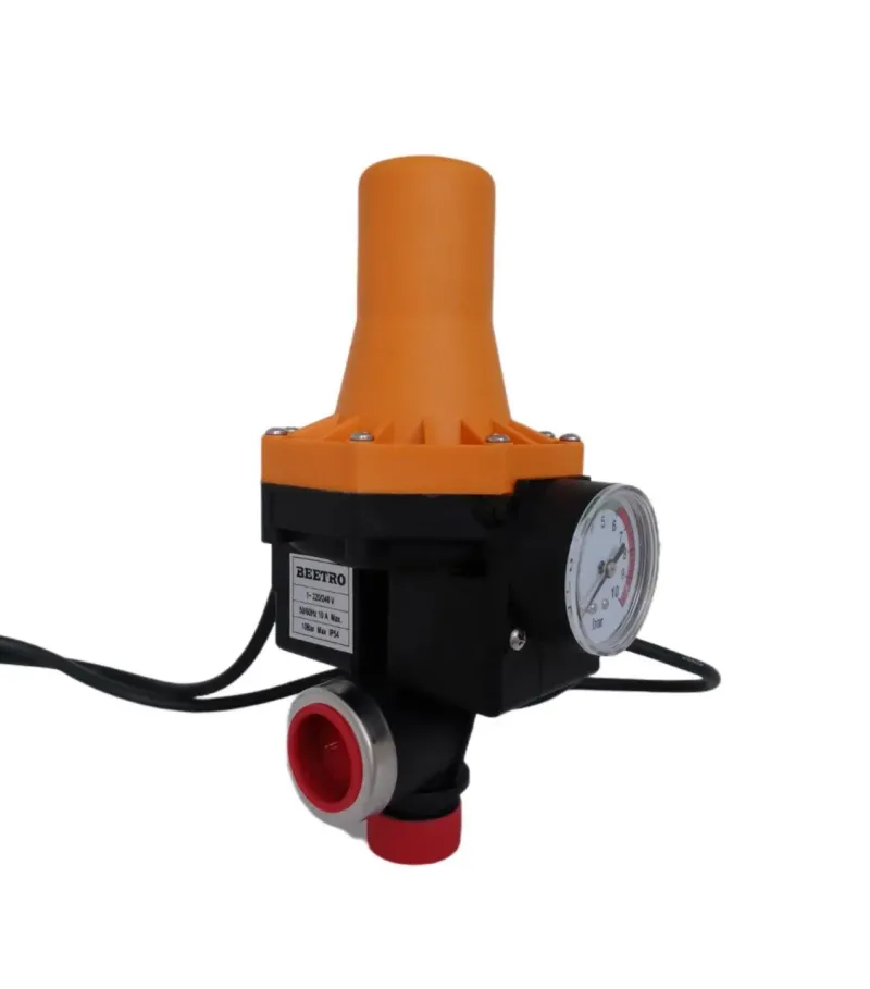 Cerveau vertical beetro